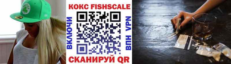 Cocaine FishScale  дарнет шоп  Артёмовский 
