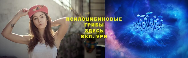 винт Арсеньев