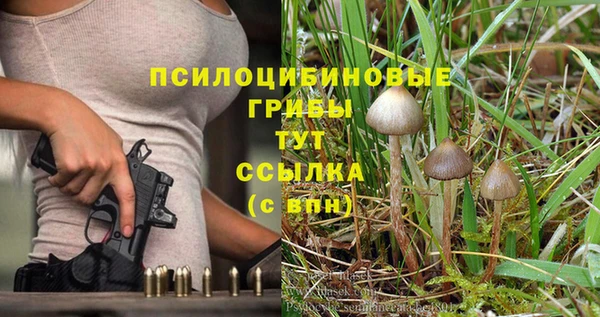 винт Арсеньев