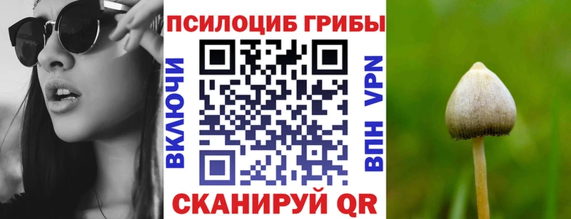 блэк спрут   продажа наркотиков  Артёмовский  Галлюциногенные грибы Cubensis 